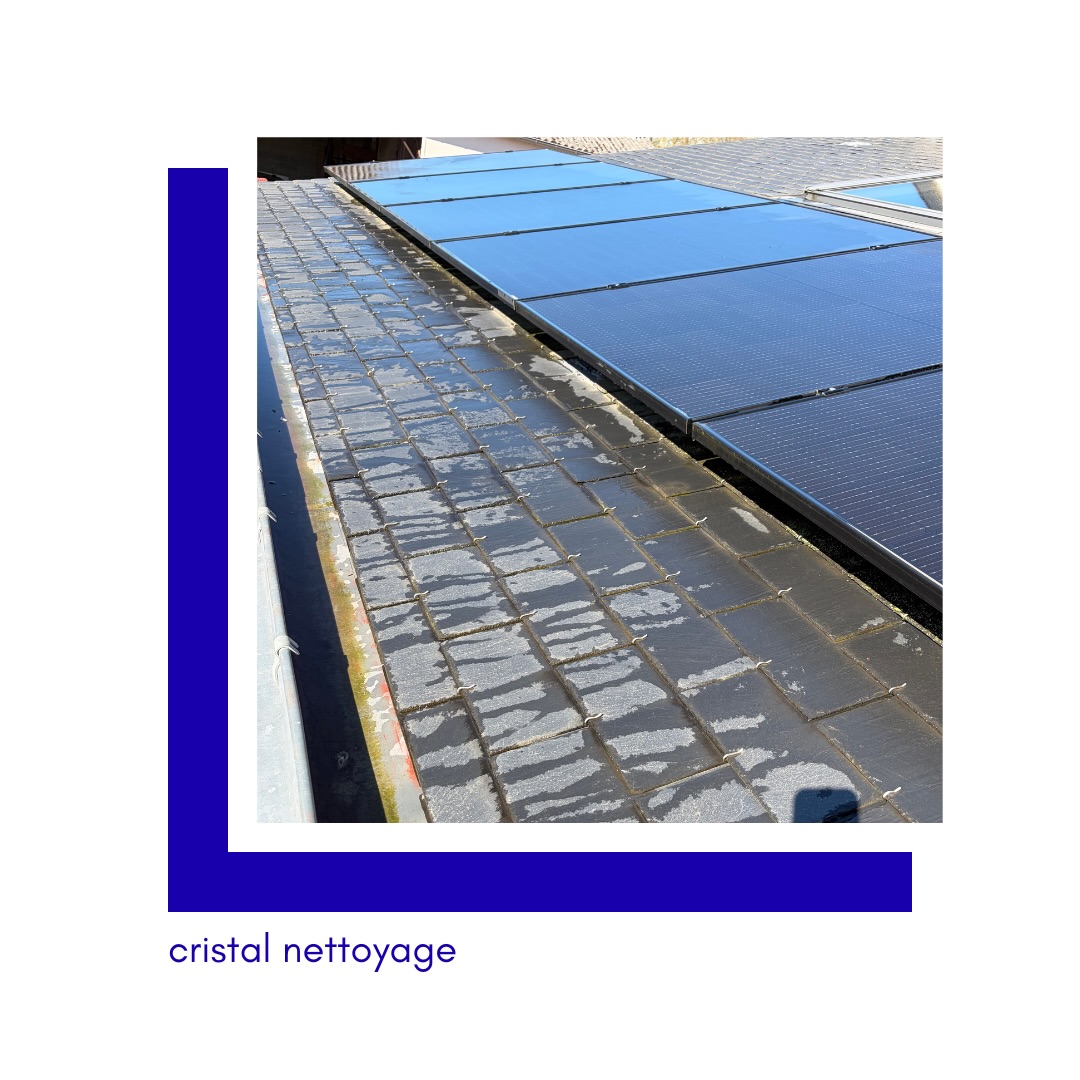 Nettoyage de panneaux solaires ☀️