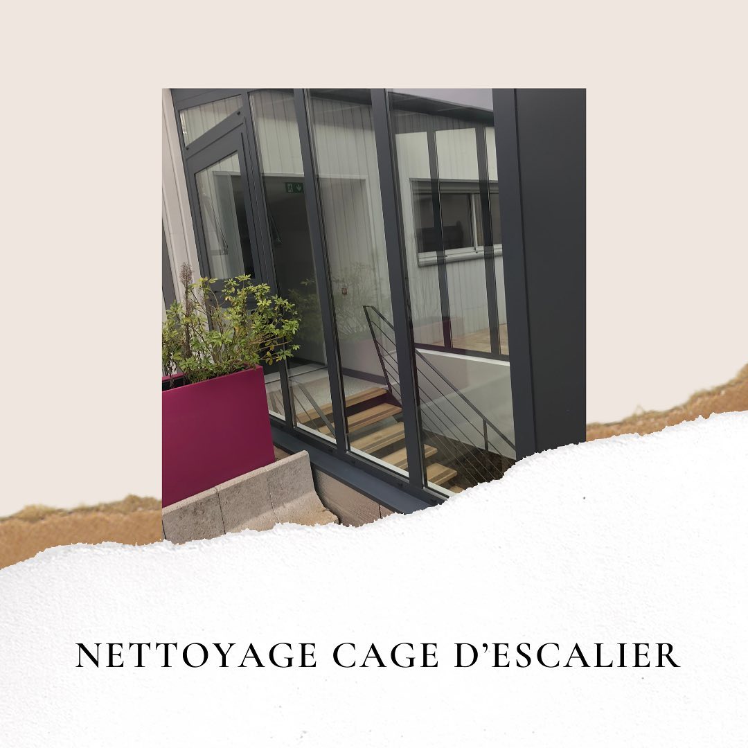 Nettoyage cage d'escalier